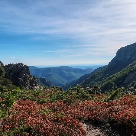Gite Le Rossignol Des Murailles Le Bosc  Extérieur photo