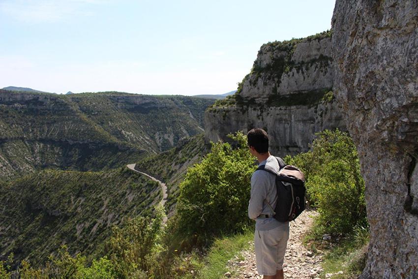 Le Rossignol Des Murailles Le Bosc (Herault)