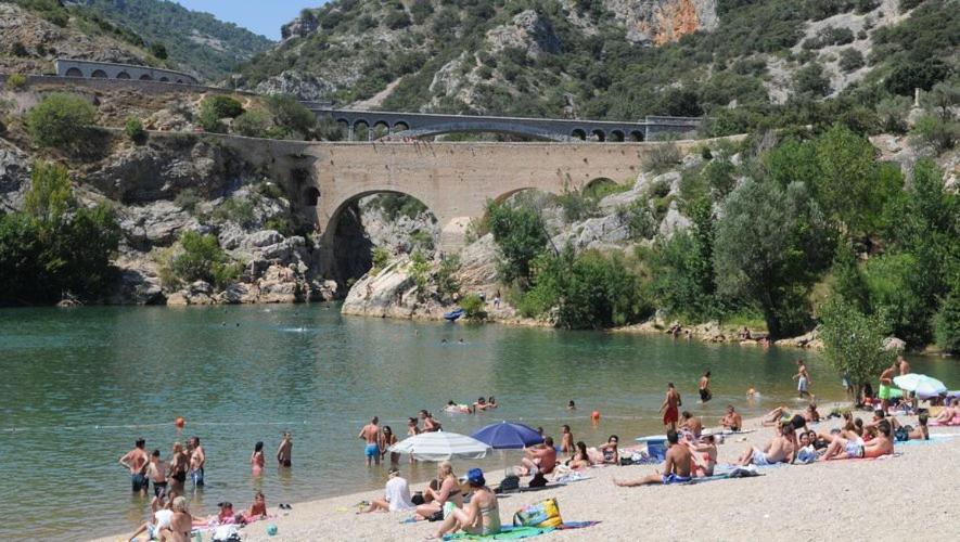 Le Rossignol Des Murailles Le Bosc (Herault)
