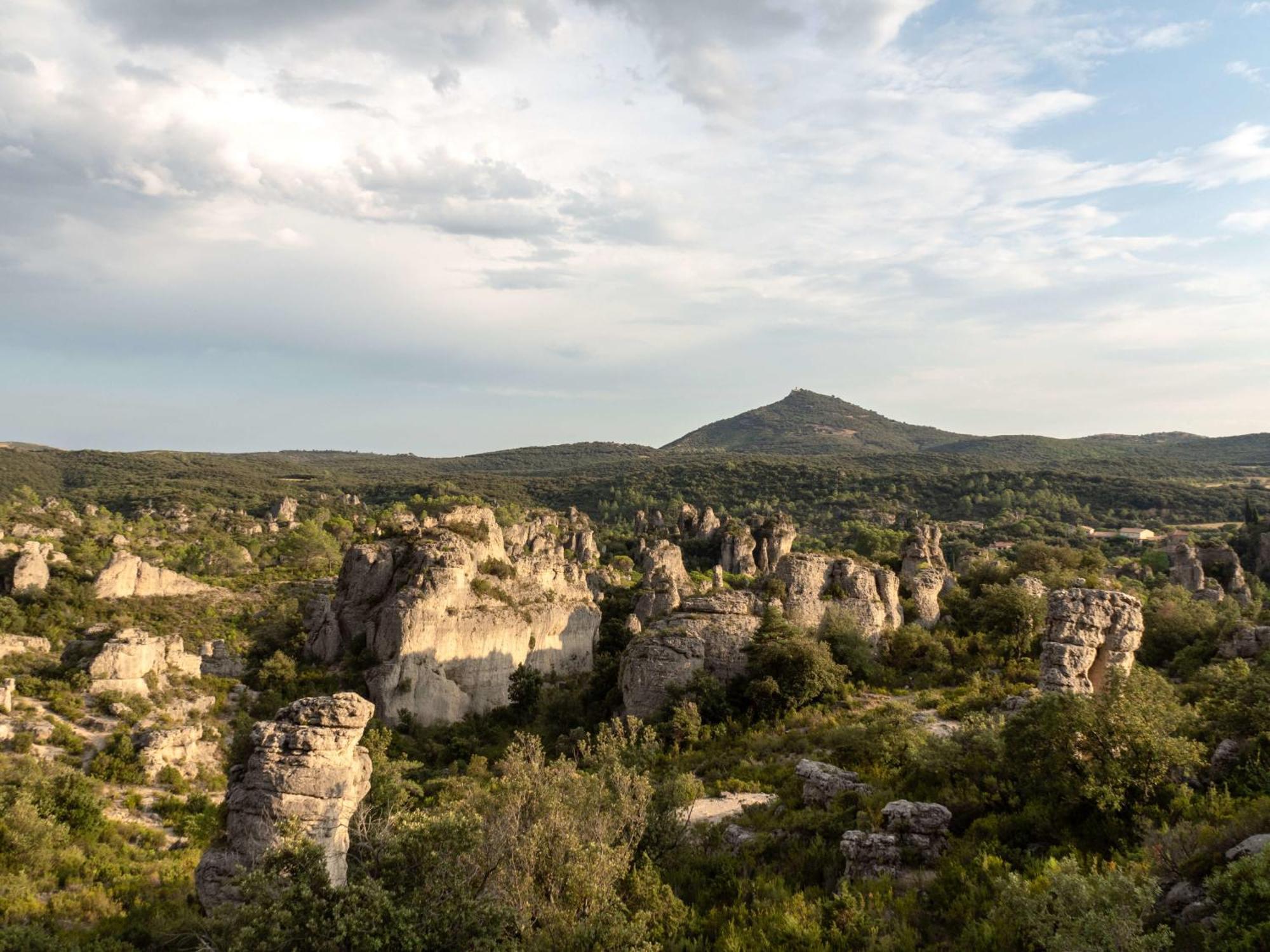 Le Rossignol Des Murailles