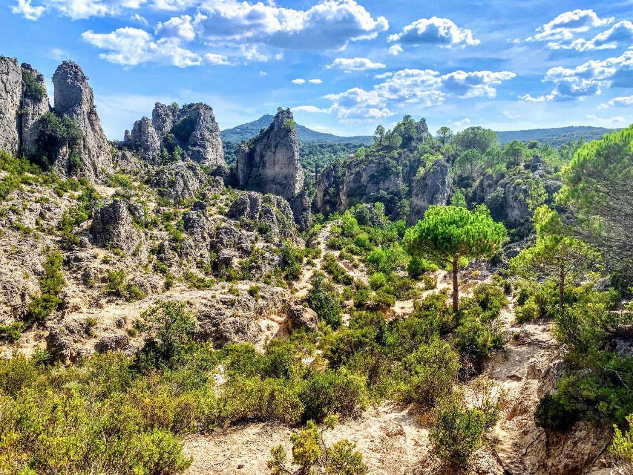 Le Rossignol Des Murailles * Le Bosc (Herault)