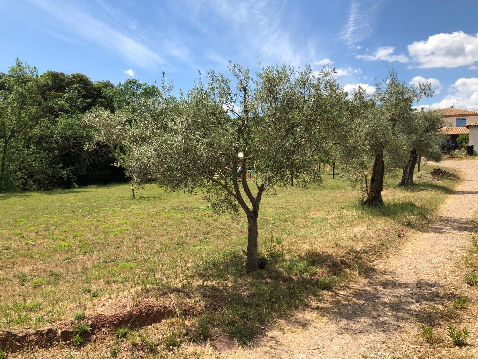 Holiday home Le Rossignol Des Murailles Le Bosc (Herault)
