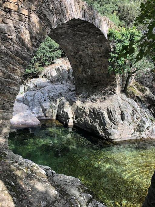 Le Rossignol Des Murailles * Le Bosc (Herault)